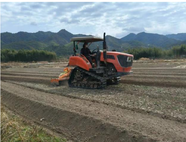 봄 파종은 희망을 가져다주고, 땅은 활력을 회복합니다